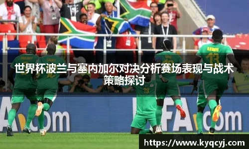 世界杯波兰与塞内加尔对决分析赛场表现与战术策略探讨